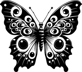 Peacock Butterfly icon