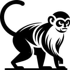 Patas Monkey icon 15