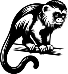 Patas Monkey icon 10