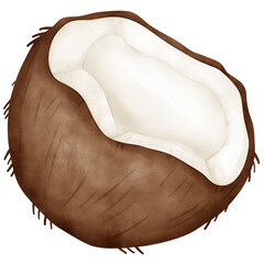 Coconut, watercolor coconut