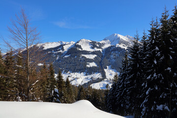 Fototapeta premium Kleinwalsertal - Winter / Kleinwalsertal - Winter /