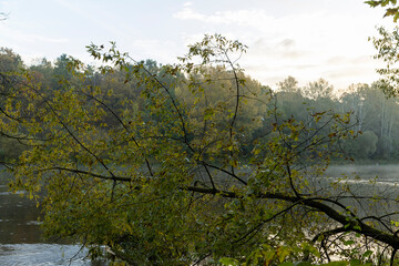 Morning fog on the surface of the river