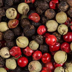 Colored Peppers Mix