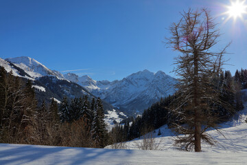 Kleinwalsertal - Winter / Kleinwalsertal - Winter /