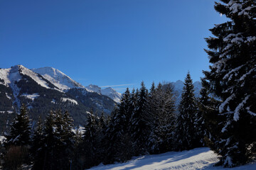 Kleinwalsertal - Winter / Kleinwalsertal - Winter /