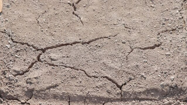 The process of soil cracking under hot sunlight