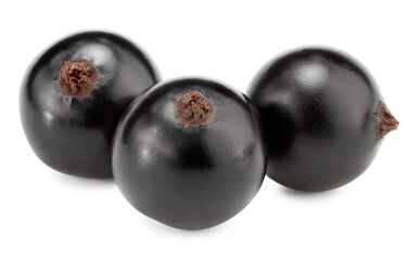 black currant isolated on white background. macro. clipping path