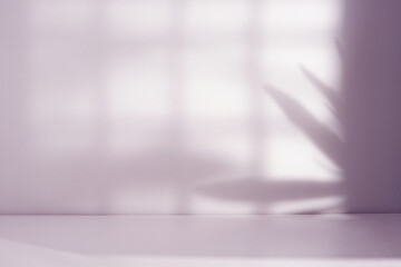 empty room with shadow and light