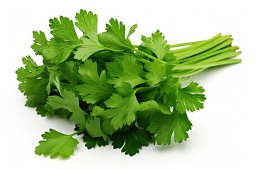 Coriander isolated on white background