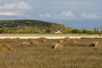 Round hay bales in the Ibiza countryside and Illa des Bosc in the background.