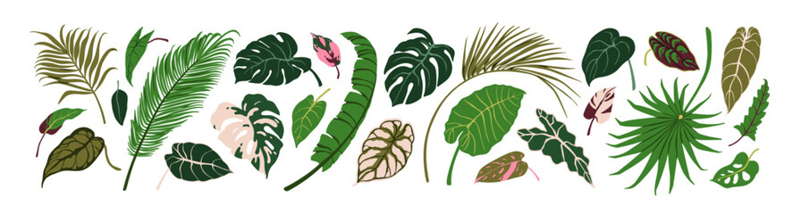 Exotic leaf set. Tropical jungle leaves. Green foliage plants, palm, monstera, banana. Natural eco design elements. Botanical decorations. Flat graphic vector illustration isolated on white background © Good Studio