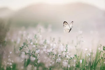 Muurstickers white butterfly flies free in the middle of a flowery meadow © Cristina Conti