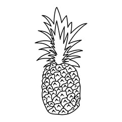black and white hand drawn illustration of pineapple