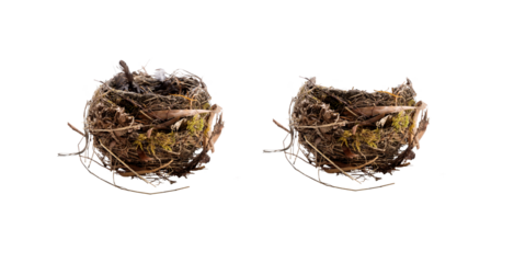 A side view of a natural, real birds nest isolated against a transparent background along with a copy of the front part that can be placed over the top of other layers added to the nest.