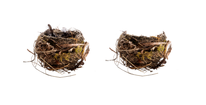 A side view of a natural, real birds nest isolated against a transparent background along with a copy of the front part that can be placed over the top of other layers added to the nest.