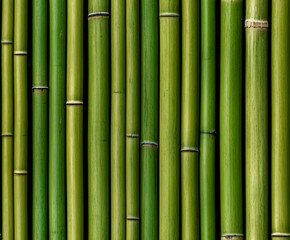 Seamless green bamboo wall texture, natural tiled pattern.
