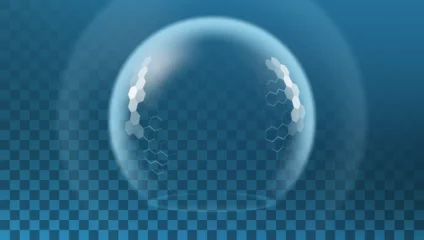 Fotobehang Bubble Shield Ball With Hexagon Pattern Plates. © prah