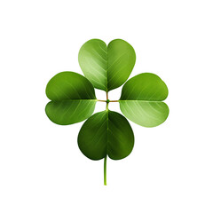 Four leaf clover, isolated on transparent background, PNG, 300 DPI
