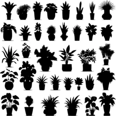 Foto op Aluminium Houseplants. Vector set silhouettes home plants, succulents in pot. Indoor exotic flowers with stems and leaves. Monstera, ficus, pothos, yucca, dracaena, cacti, snake plant for home and interior © Екатерина Переславце