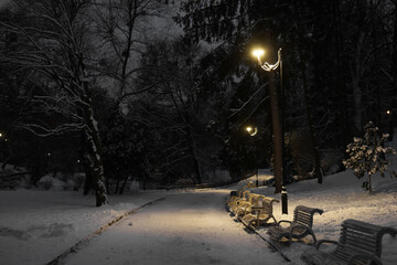 Picturesque view of park covered with snow in evening