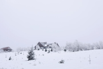 Fototapeta premium Picturesque landscape with houses, trees and plants on snowy day