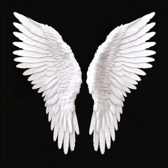 white angel wing  on gray or black background for designer graphic stock photo