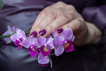Violet gel polish manicure on short nails with an orchid 