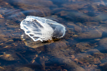 Transparent ice floe with water bubbles, spring melting of ice on the river