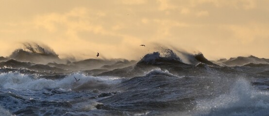 Strong storm at sea. Waves break and splash in the open sea and strong winds. Selective focus. © Igor
