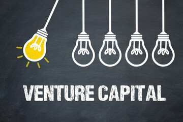 Venture Capital	