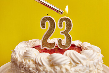 A candle in the form of the number 23, stuck in a holiday cake, is lit. Celebrating a birthday or a...