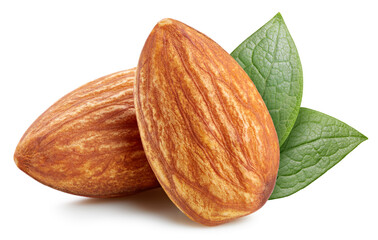 Almond nut isolated with clipping path