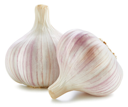 Organic garlic isolated on white background