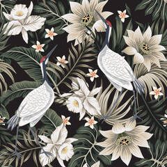 Tropical vintage stork, white lotus, orchid flower, palm leaves floral seamless pattern black background. Exotic jungle wallpaper. - 694800357