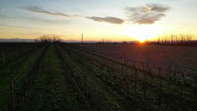 Sonnenuntergang - Wein