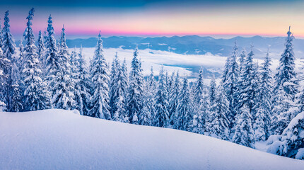 Fantastic winter scenery. Snowy morning view of the mountain hill. Amazing winter sunrise in Carpathian mountains. Beauty of nature concept background.