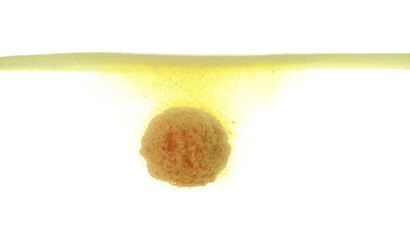 Yellow bath bomb in clear water on white background