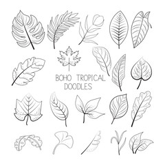 Boho tropical  doodle art illustration, hand-drawn Boho tropical elements