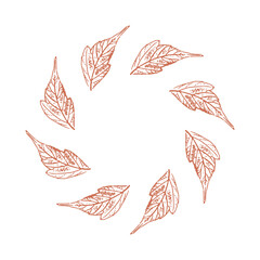 Autumn frame with leaves. Floral wreath. Design for creating invitations, posters, cards. Vector illustration. Foliage imprint. Element for nature design. 