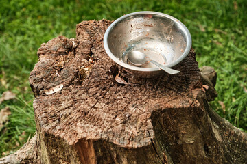 Breakfast by the river. An old stump on the riverbank with a metal bowl with a spoon.