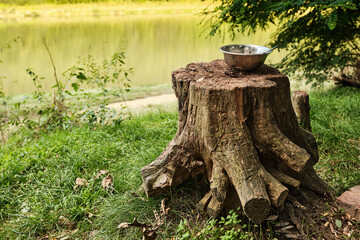 Fototapeta premium Breakfast by the river. An old stump on the riverbank with a metal bowl with a spoon.