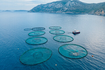 Aerial shot of Aquaculture sea fish farming cages, offshore marine seafood industry