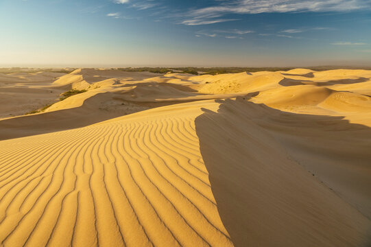 Sand Dunes, Addo Elephant National Park, Eastern Cape, South Africa