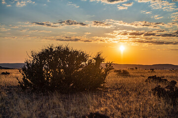 A sunset over the grasscovered fields near Sesriem, Namibia.