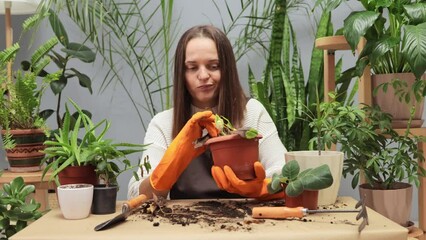 Sad disappointed woman gardener taking care of dying houseplant in her home greenery trying to recovery dry potted plant sitting at her workplace working rotten flower