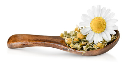 chamomile flower and dried buds in a wooden spoon on a white isolated background