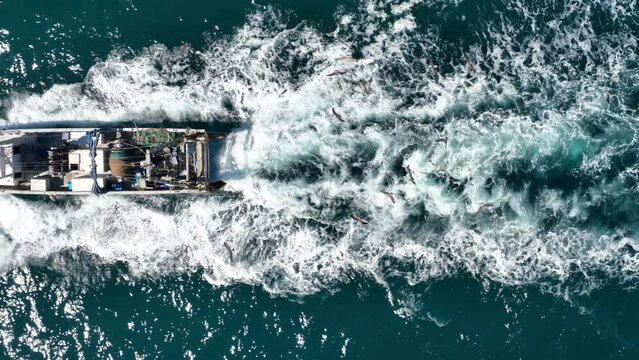 Barco pesquero en slow motion