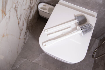 Silicone brushes for cleaning the toilet lie on the lid of the wall-hung toilet. The concept of...