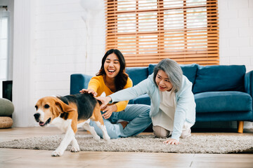 In their cozy living room, a barefoot woman and her mother run with their Beagle dog, showcasing...