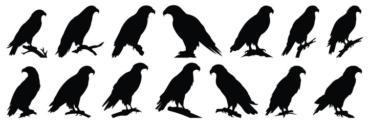 Eagle silhouettes set, large pack of vector silhouette design, isolated white background